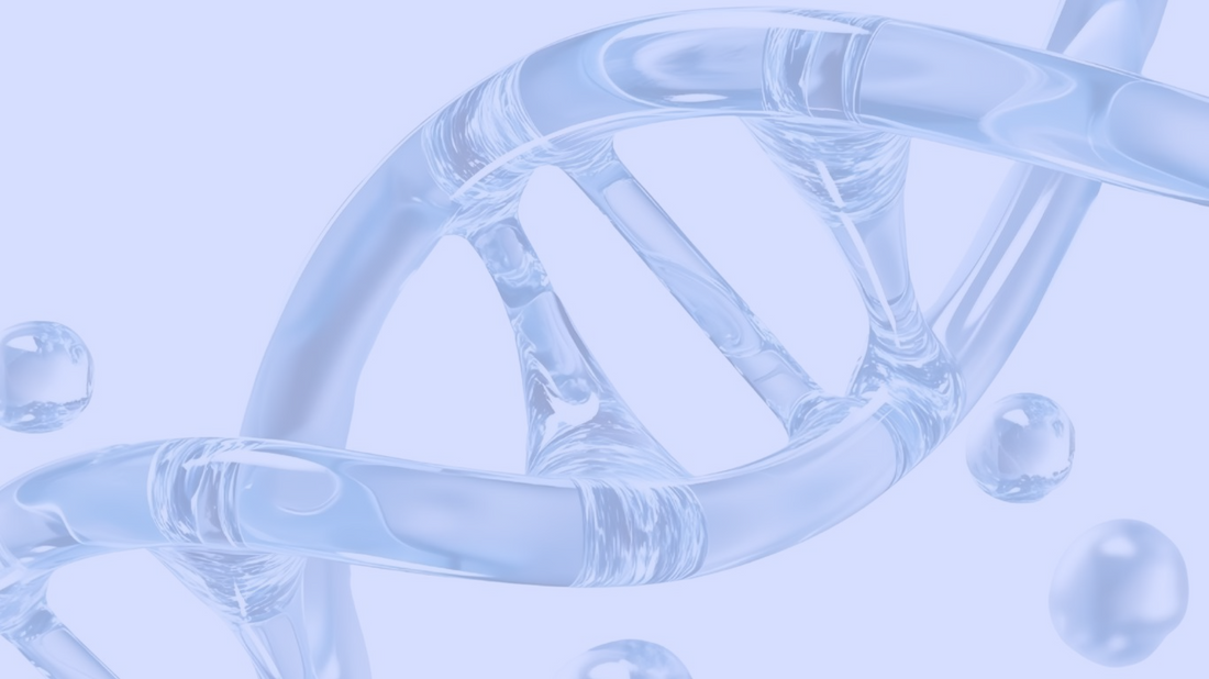 Understanding the Structure of a Heptapeptide: A Lab Guide