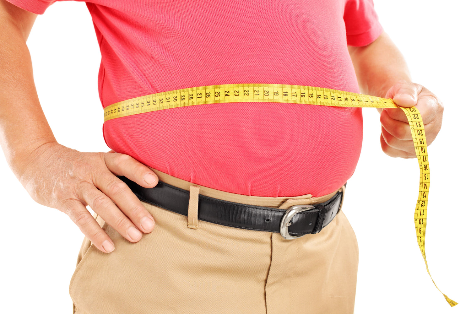 How Researchers Use MT2 to Study Metabolism
