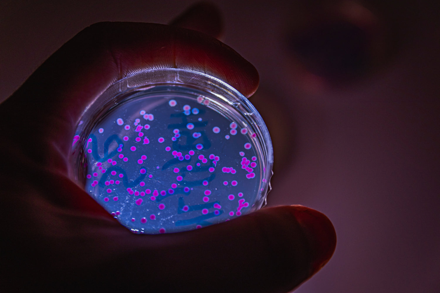 Melanotan 2 vs Natural Alpha-MSH: What is the Difference?